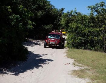 2 buggys passando por uma trilha