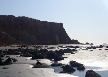 Linda praia com falésias em Canoa Quebrada