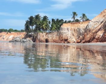 Praia com falésias e coqueiros