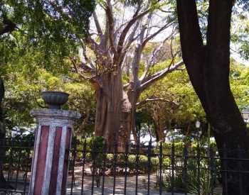 Passeio Público praça no centro de Fortaleza