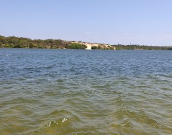 Lago com mata ao fundo