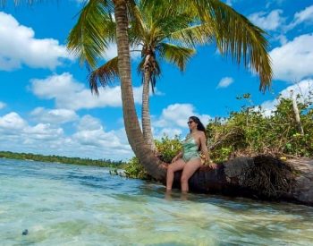 Mulher sentada em um coqueiro no lago