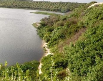 Lago e vegetação ao redor