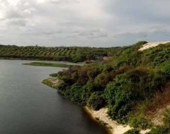 Lago com duna e mato ao redor